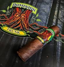 DOMINION THE TRUNK SHORT GORDO